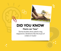 Yellow Plant Awareness สามเหลี่ยมขนาดกลาง Template