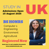 Yellow Maximalist Admissions Open Now In Uk Instagram Post template