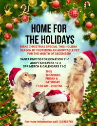 Yellow Maximalist  Holiday Pet Adoption Poster Flyer (us Letter) template