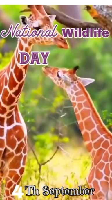 Yellow Maximalist National Wildlife Day Instagram Reel template