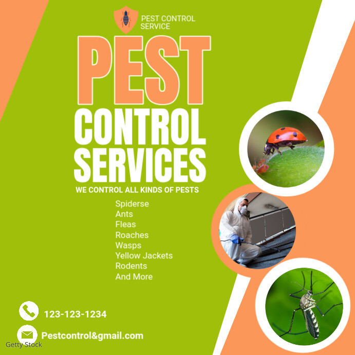 Yellow Maximalist Pest Control Services Instagram Post template