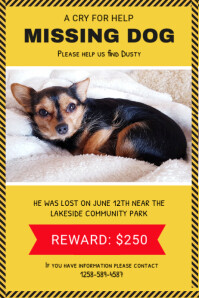 Yellow Missing Dog Poster template