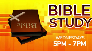 Yellow Modern & Minimal Bible Study Mobile Video Digital Display (16:9) template