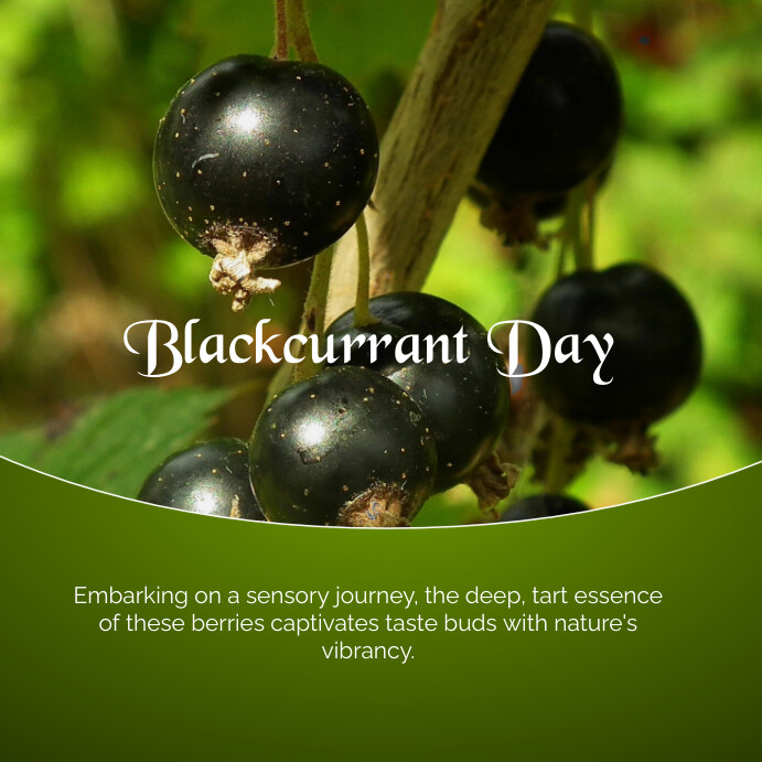 Yellow Modern & Minimal Blackcurrant Day  Ins Iphosti le-Instagram template