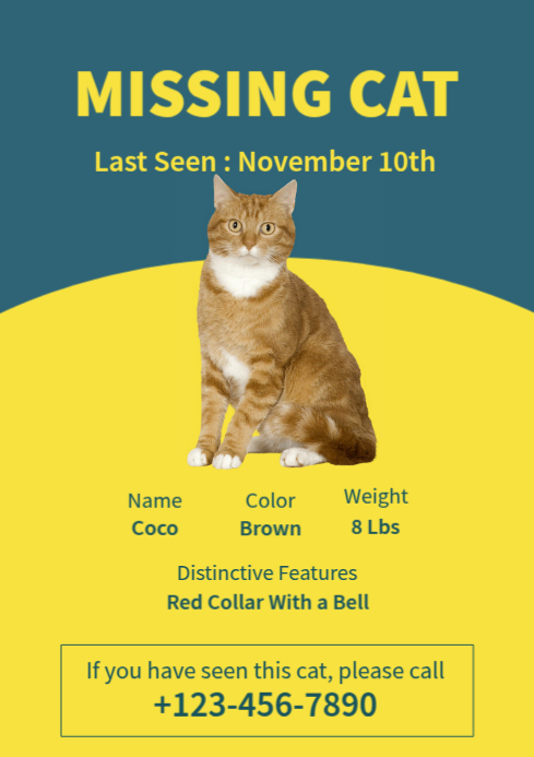 Plantilla de Yellow Modern & Minimal Missing Cat A4 | PosterMyWall