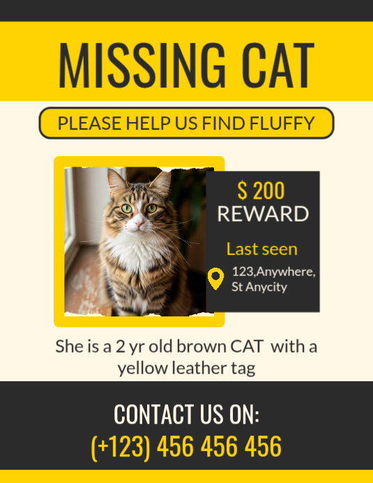 Yellow Modern & Minimal Missing Cat Flyer (us Letter) template