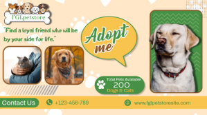 黄色 Yellow Modern & Minimal Pet Store Adopt Twitter Post Wpis na Twittera Template