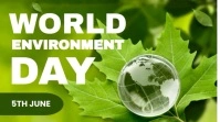Yellow Modern & Minimal World Environment Day Digital Display (16:9) template