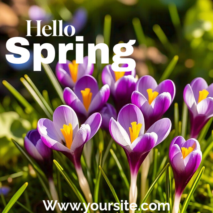 Yellow/purple Floral Hello Spring  Album Cover Capa de álbum template
