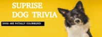 Yellow  Surprise Dog Trivia  Facebook Cover Photo template