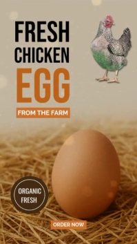 Yellow Vintage Organic Farm Fresh Chicken Eggs – Healthy, Nutritious & Natural – Direct From The Far Instagram Story template