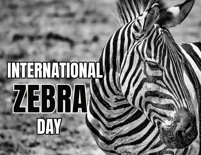 Zebra Cdc Copy of Zebra day | PosterMyWall