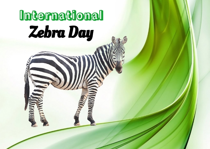 Zebra Tuesday zebra day Template | PosterMyWall