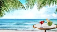 Zoom background Beach palm trees Presentation (16:9) template