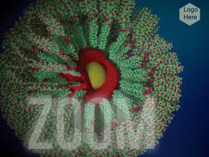 zoom background presentation Template PosterMyWall