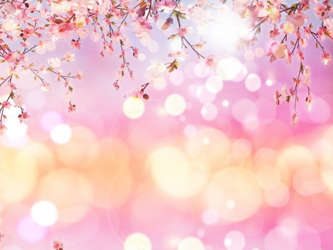缩放背景 背景模板 Postermywall 缩放背景 背景模板 Postermywall