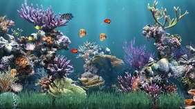 Customize 1 410 Zoom Virtual Background Templates Postermywall