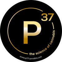 Bhang/Derived Outlet Powered by Prohibition 37