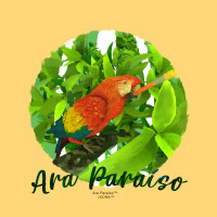 Ara Paraíso