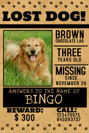 Create missing pet flyers in minutes