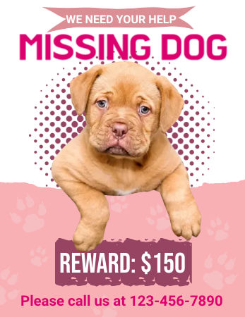 Create missing pet flyers in minutes