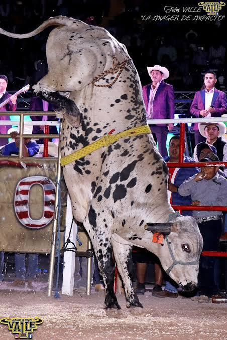 Jaripeo ranchero 