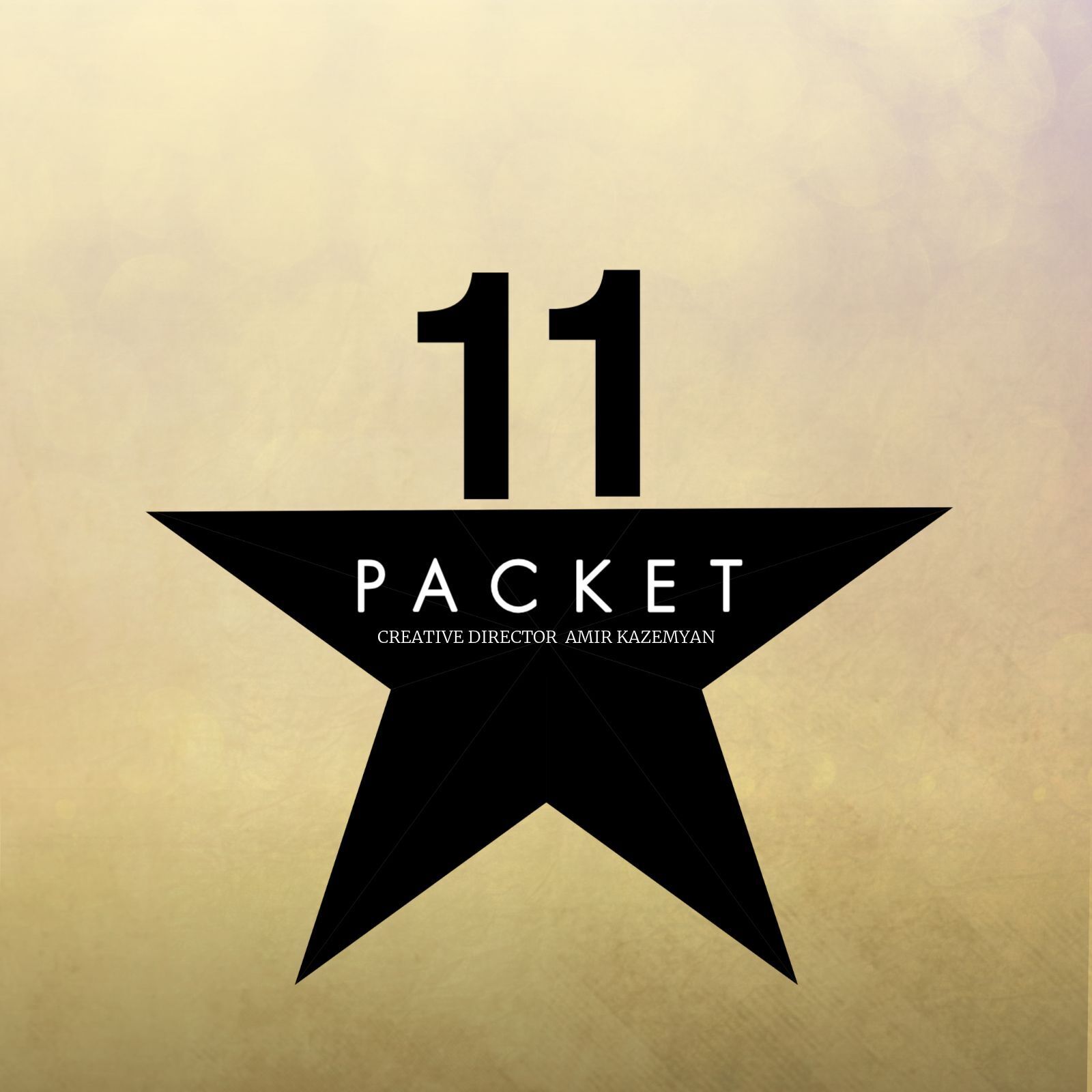 PACKET 11