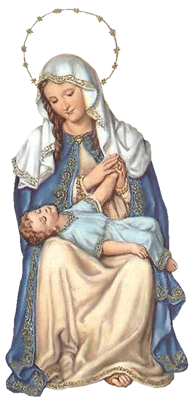 Celebración - Nuestra Señora de La Divina Providencia